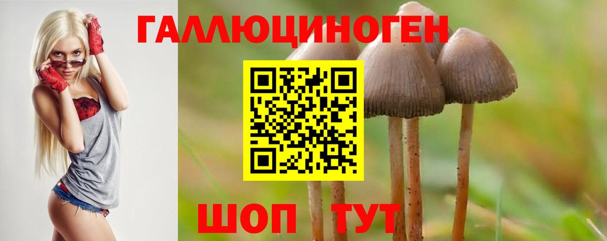 Городец  Галлюциногенные грибы MAGIC MUSHROOMS  Вход с VPN 